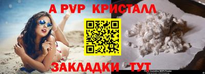 стаф Шахты